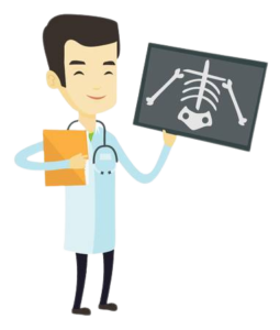 Création de site vitrine WordPress sur mesure Webmaster Freelance