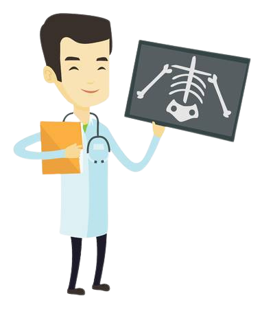 Création de site vitrine WordPress sur mesure Webmaster Freelance