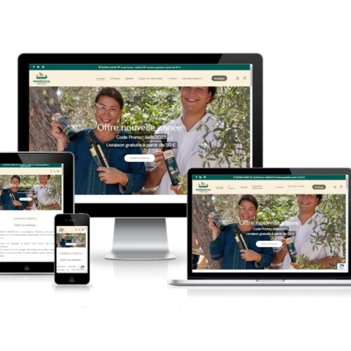 DIGIWEBLINE - Création site internet Paris Webmaster freelance Wordpress Woocommerce