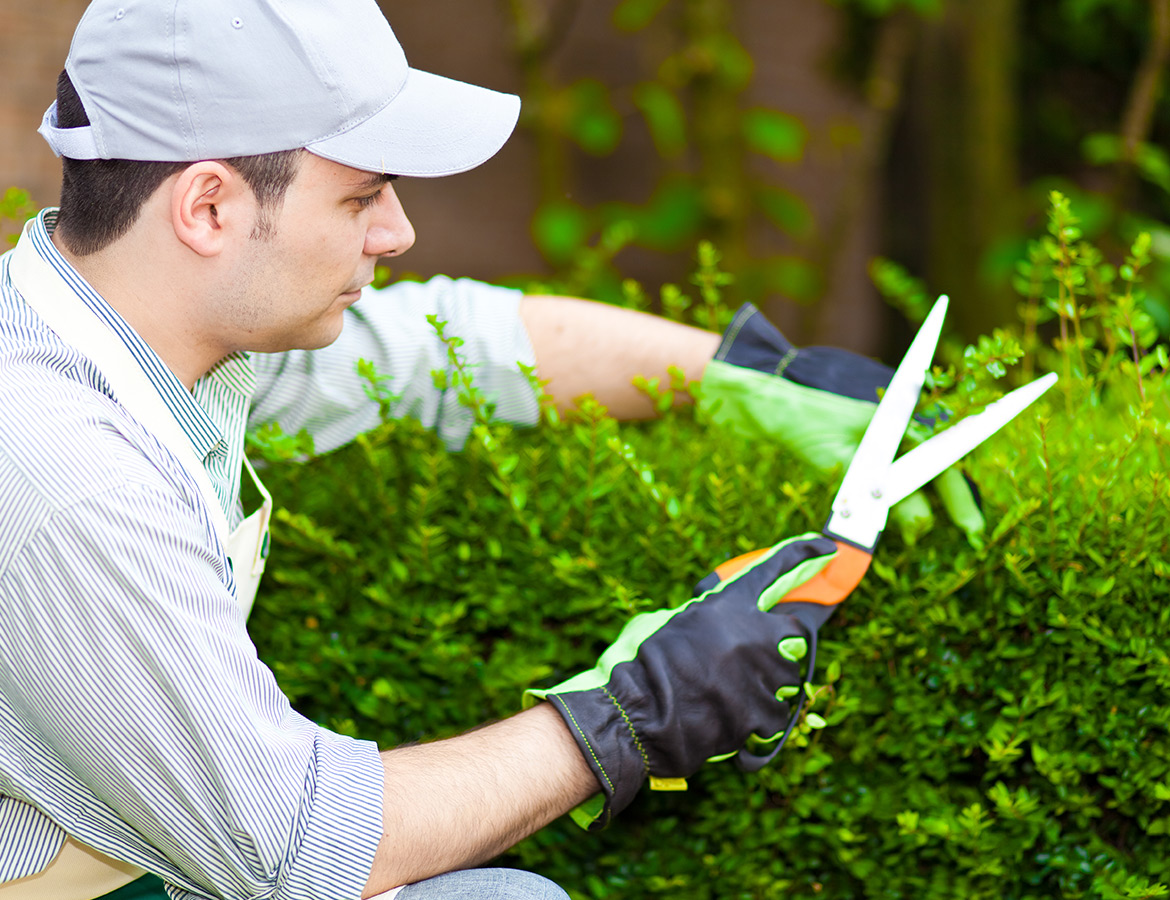 Développeur WordPress-Création un site internet de Jardinier-Paysagiste Paris A partir de 699€