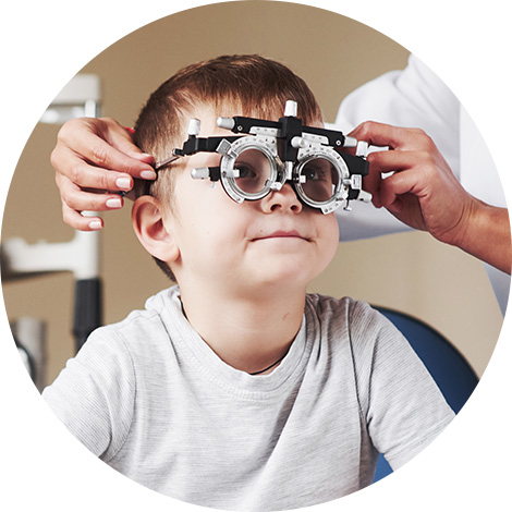 Intégration de contenu site vitrine wordpress